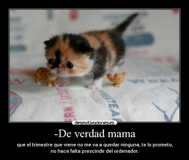 -De verdad mama -