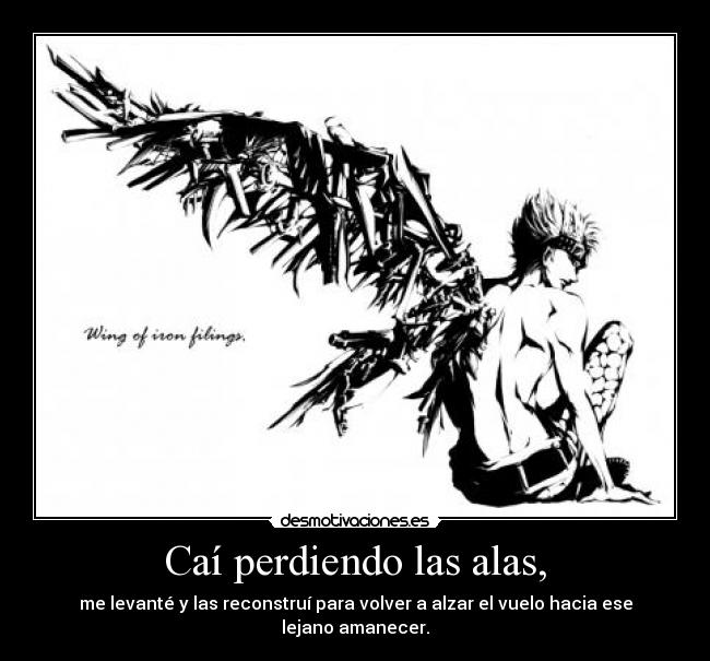 Caí perdiendo las alas, - 