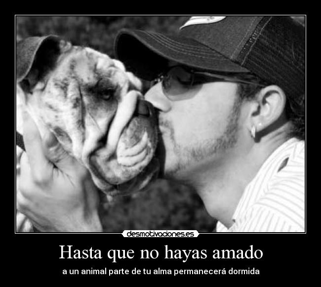 Hasta que no hayas amado -