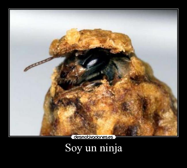 Soy un ninja -