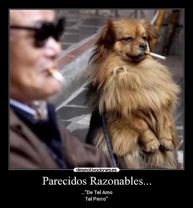 Parecidos Razonables... - ...De Tal Amo
Tal Perro