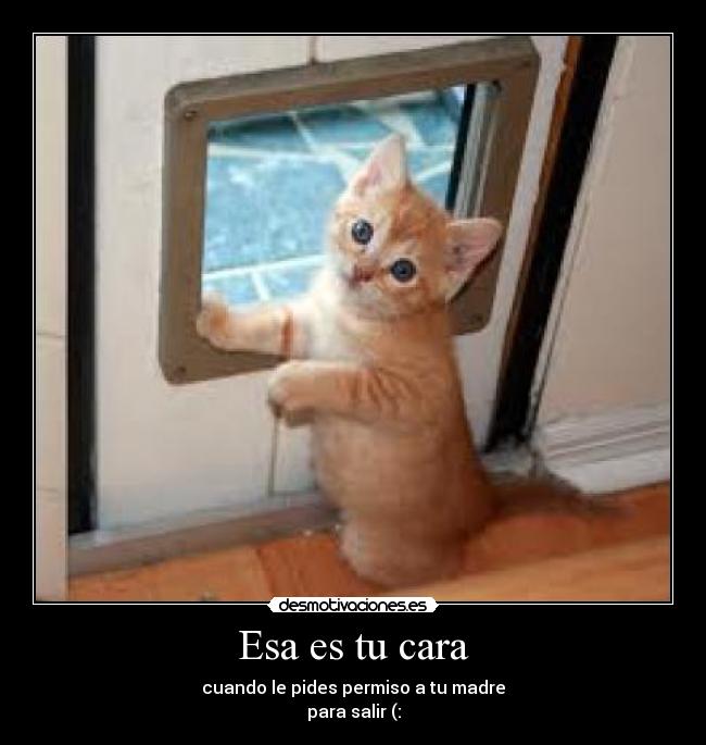 Esa es tu cara - cuando le pides permiso a tu madre
para salir (: