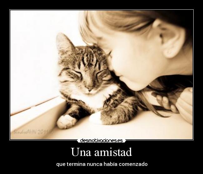 Una amistad - que termina nunca había comenzado