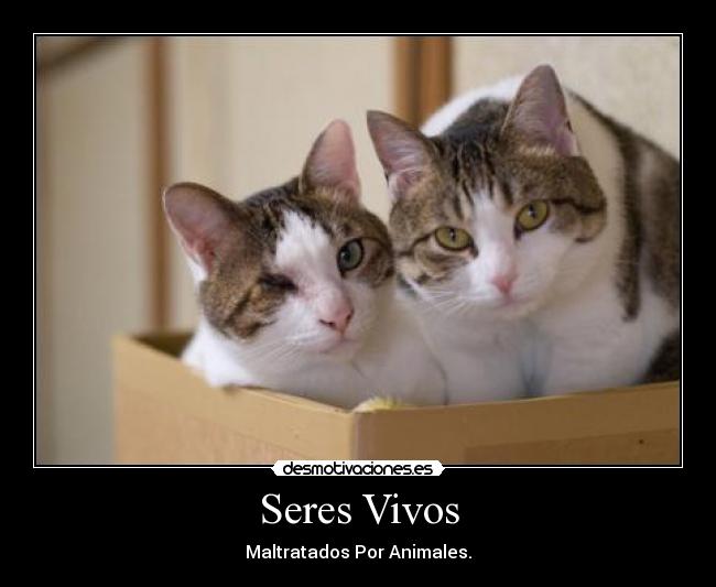 Seres Vivos -