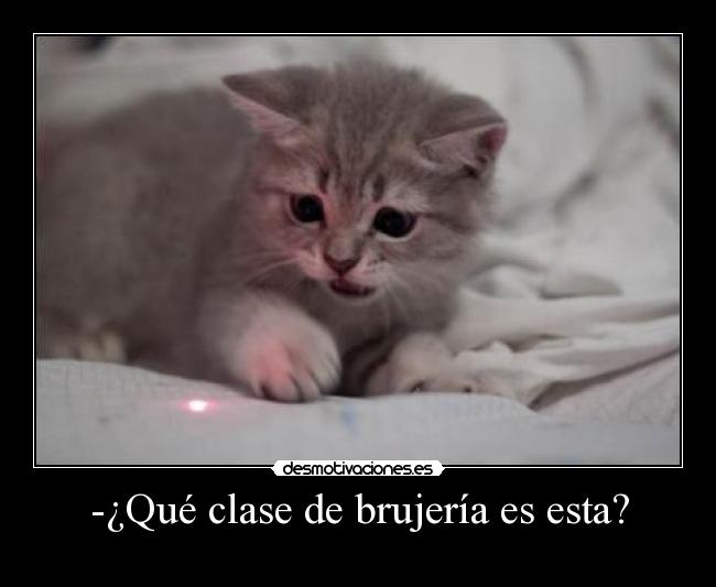 -¿Qué clase de brujería es esta? - 