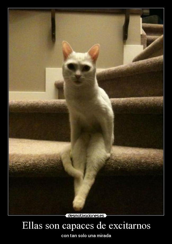 Ellas son capaces de excitarnos - con tan solo una mirada