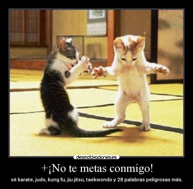 +¡No te metas conmigo! -