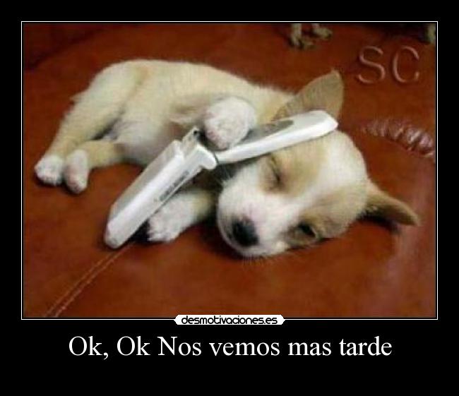 Ok, Ok Nos vemos mas tarde -