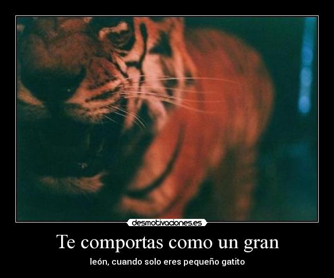 Te comportas como un gran - 
