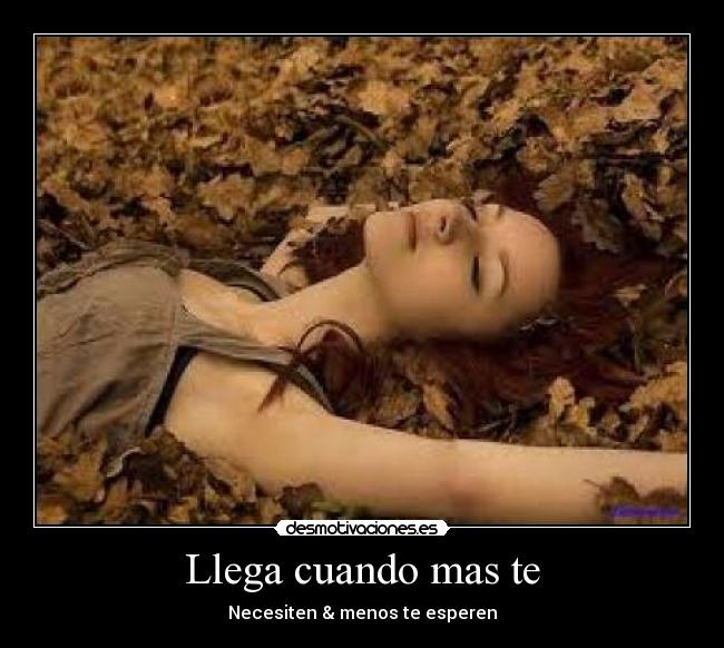 carteles wdd desmotivaciones