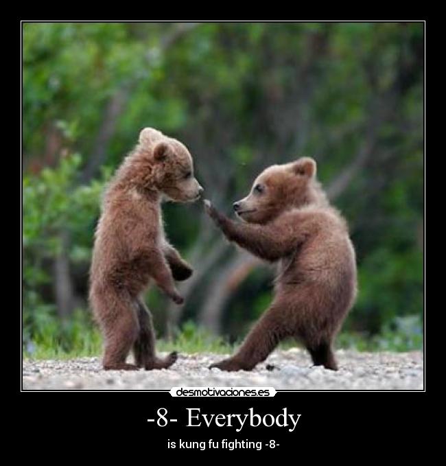 -8- Everybody - is kung fu fighting -8-