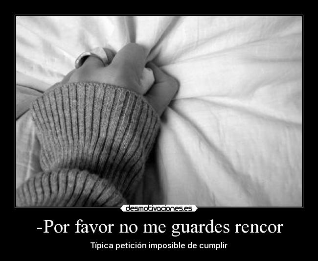 -Por favor no me guardes rencor - 