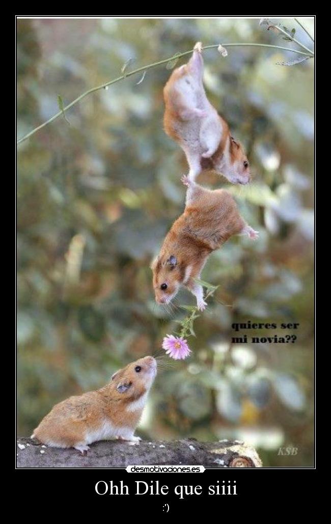 carteles amor desmotivaciones