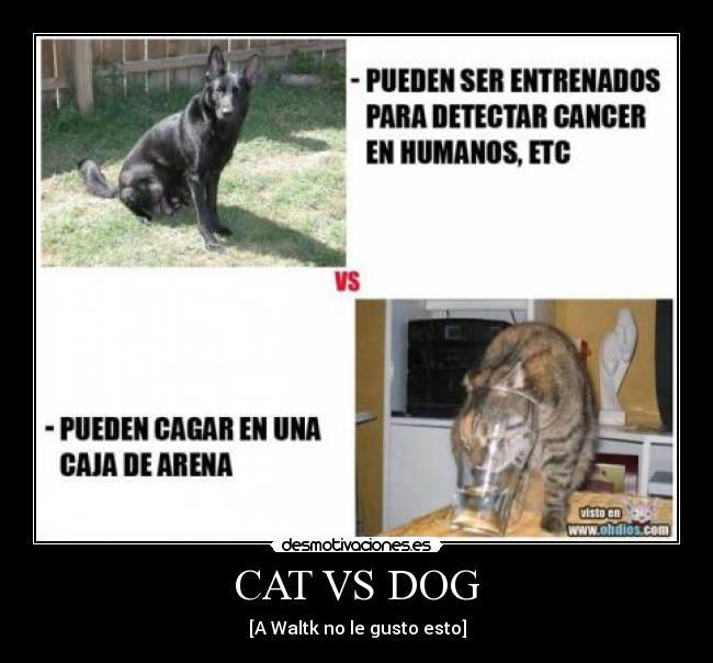 CAT VS DOG - [A Waltk no le gusto esto]