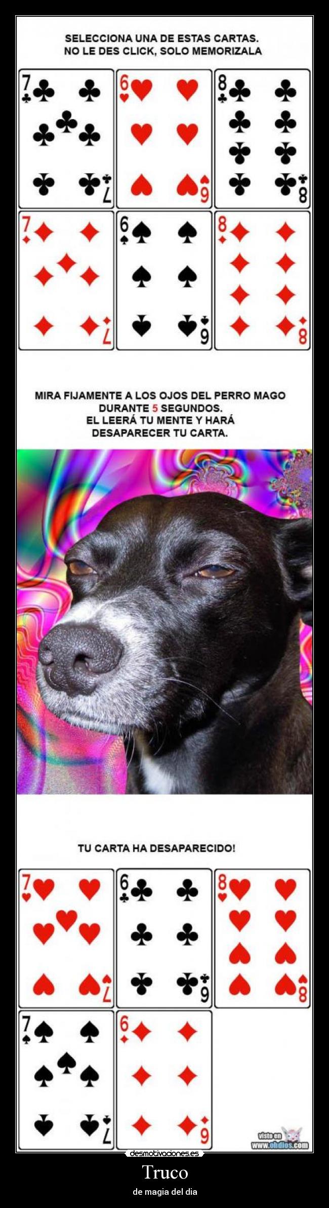 Truco - de magia del dia