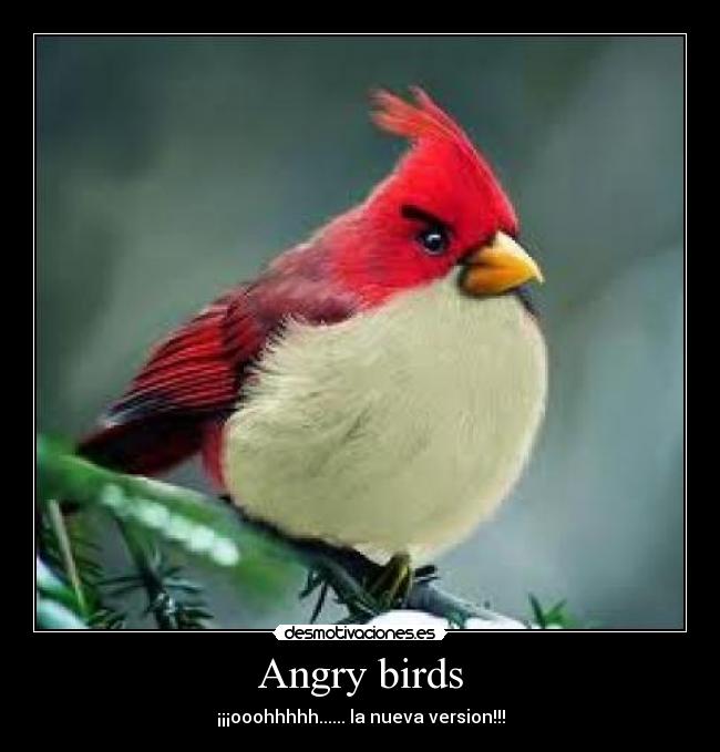 Angry birds - ¡¡¡ooohhhhh...... la nueva version!!!