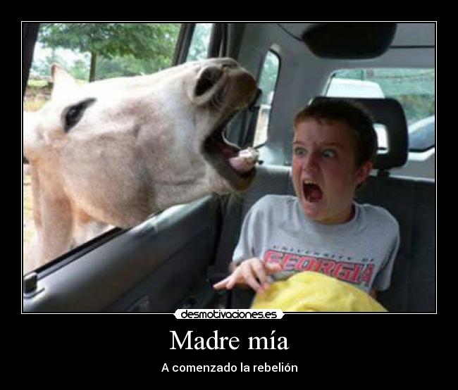 Madre mía - A comenzado la rebelión