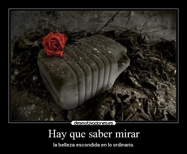 Hay que saber mirar - 