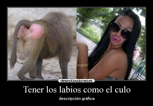 Tener los labios como el culo - descripción gráfica