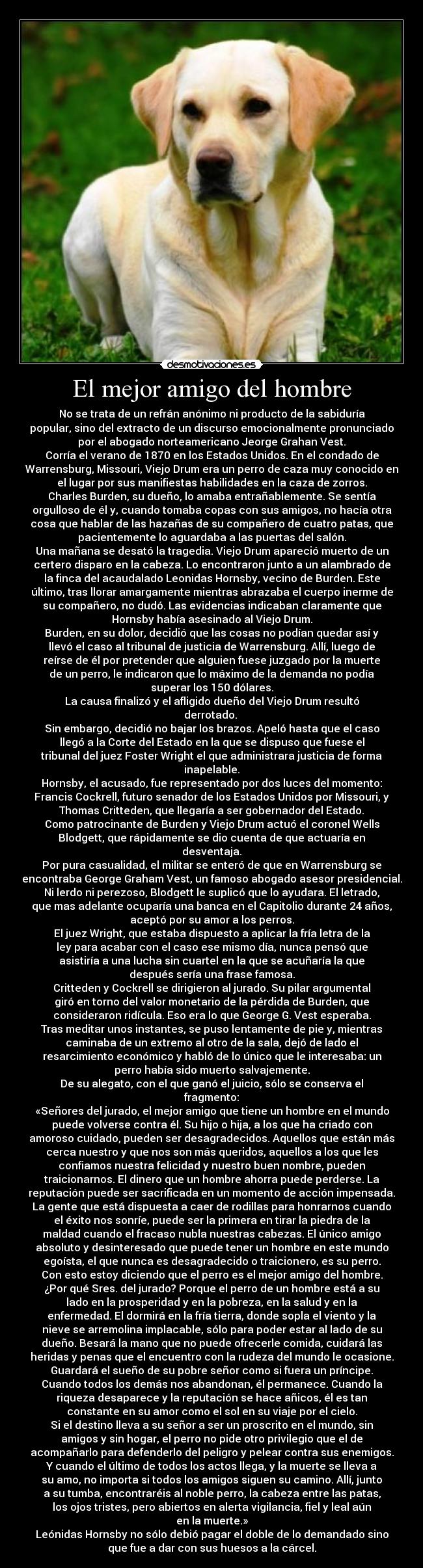 El mejor amigo del hombre - No se trata de un refrán anónimo ni producto de la sabiduría
popular, sino del extracto de un discurso emocionalmente pronunciado
por el abogado norteamericano Jeorge Grahan Vest.
Corría el verano de 1870 en los Estados Unidos. En el condado de
Warrensburg, Missouri, Viejo Drum era un perro de caza muy conocido en
el lugar por sus manifiestas habilidades en la caza de zorros.
Charles Burden, su dueño, lo amaba entrañablemente. Se sentía
orgulloso de él y, cuando tomaba copas con sus amigos, no hacía otra
cosa que hablar de las hazañas de su compañero de cuatro patas, que
pacientemente lo aguardaba a las puertas del salón.
Una mañana se desató la tragedia. Viejo Drum apareció muerto de un
certero disparo en la cabeza. Lo encontraron junto a un alambrado de
la finca del acaudalado Leonidas Hornsby, vecino de Burden. Este
último, tras llorar amargamente mientras abrazaba el cuerpo inerme de
su compañero, no dudó. Las evidencias indicaban claramente que
Hornsby había asesinado al Viejo Drum.
Burden, en su dolor, decidió que las cosas no podían quedar así y
llevó el caso al tribunal de justicia de Warrensburg. Allí, luego de
reírse de él por pretender que alguien fuese juzgado por la muerte
de un perro, le indicaron que lo máximo de la demanda no podía
superar los 150 dólares.
La causa finalizó y el afligido dueño del Viejo Drum resultó
derrotado. 
Sin embargo, decidió no bajar los brazos. Apeló hasta que el caso
llegó a la Corte del Estado en la que se dispuso que fuese el
tribunal del juez Foster Wright el que administrara justicia de forma
inapelable.
Hornsby, el acusado, fue representado por dos luces del momento:
Francis Cockrell, futuro senador de los Estados Unidos por Missouri, y
Thomas Critteden, que llegaría a ser gobernador del Estado.
Como patrocinante de Burden y Viejo Drum actuó el coronel Wells
Blodgett, que rápidamente se dio cuenta de que actuaría en
desventaja.
Por pura casualidad, el militar se enteró de que en Warrensburg se
encontraba George Graham Vest, un famoso abogado asesor presidencial.
Ni lerdo ni perezoso, Blodgett le suplicó que lo ayudara. El letrado,
que mas adelante ocuparía una banca en el Capitolio durante 24 años,
aceptó por su amor a los perros.
El juez Wright, que estaba dispuesto a aplicar la fría letra de la
ley para acabar con el caso ese mismo día, nunca pensó que
asistiría a una lucha sin cuartel en la que se acuñaría la que
después sería una frase famosa.
Critteden y Cockrell se dirigieron al jurado. Su pilar argumental
giró en torno del valor monetario de la pérdida de Burden, que
consideraron ridícula. Eso era lo que George G. Vest esperaba.
Tras meditar unos instantes, se puso lentamente de pie y, mientras
caminaba de un extremo al otro de la sala, dejó de lado el
resarcimiento económico y habló de lo único que le interesaba: un
perro había sido muerto salvajemente.
De su alegato, con el que ganó el juicio, sólo se conserva el
fragmento:
«Señores del jurado, el mejor amigo que tiene un hombre en el mundo
puede volverse contra él. Su hijo o hija, a los que ha criado con
amoroso cuidado, pueden ser desagradecidos. Aquellos que están más
cerca nuestro y que nos son más queridos, aquellos a los que les
confiamos nuestra felicidad y nuestro buen nombre, pueden
traicionarnos. El dinero que un hombre ahorra puede perderse. La
reputación puede ser sacrificada en un momento de acción impensada.
La gente que está dispuesta a caer de rodillas para honrarnos cuando
el éxito nos sonríe, puede ser la primera en tirar la piedra de la
maldad cuando el fracaso nubla nuestras cabezas. El único amigo
absoluto y desinteresado que puede tener un hombre en este mundo
egoísta, el que nunca es desagradecido o traicionero, es su perro.
Con esto estoy diciendo que el perro es el mejor amigo del hombre.
¿Por qué Sres. del jurado? Porque el perro de un hombre está a su
lado en la prosperidad y en la pobreza, en la salud y en la
enfermedad. El dormirá en la fría tierra, donde sopla el viento y la
nieve se arremolina implacable, sólo para poder estar al lado de su
dueño. Besará la mano que no puede ofrecerle comida, cuidará las
heridas y penas que el encuentro con la rudeza del mundo le ocasione.
Guardará el sueño de su pobre señor como si fuera un príncipe.
Cuando todos los demás nos abandonan, él permanece. Cuando la
riqueza desaparece y la reputación se hace añicos, él es tan
constante en su amor como el sol en su viaje por el cielo.
Si el destino lleva a su señor a ser un proscrito en el mundo, sin
amigos y sin hogar, el perro no pide otro privilegio que el de
acompañarlo para defenderlo del peligro y pelear contra sus enemigos.
Y cuando el último de todos los actos llega, y la muerte se lleva a
su amo, no importa si todos los amigos siguen su camino. Allí, junto
a su tumba, encontraréis al noble perro, la cabeza entre las patas,
los ojos tristes, pero abiertos en alerta vigilancia, fiel y leal aún
en la muerte.»
Leónidas Hornsby no sólo debió pagar el doble de lo demandado sino
que fue a dar con sus huesos a la cárcel.