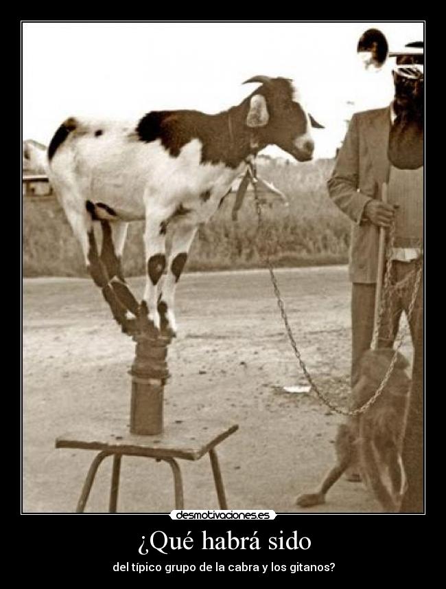 carteles turututiroriroriii desmotivaciones