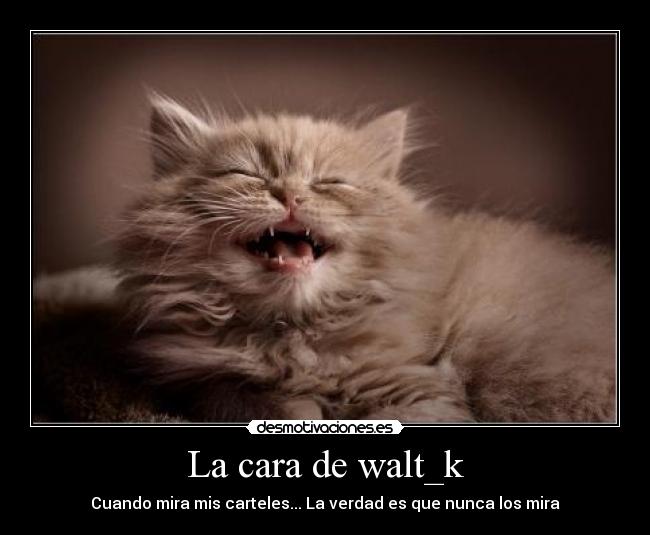 La cara de walt_k - 