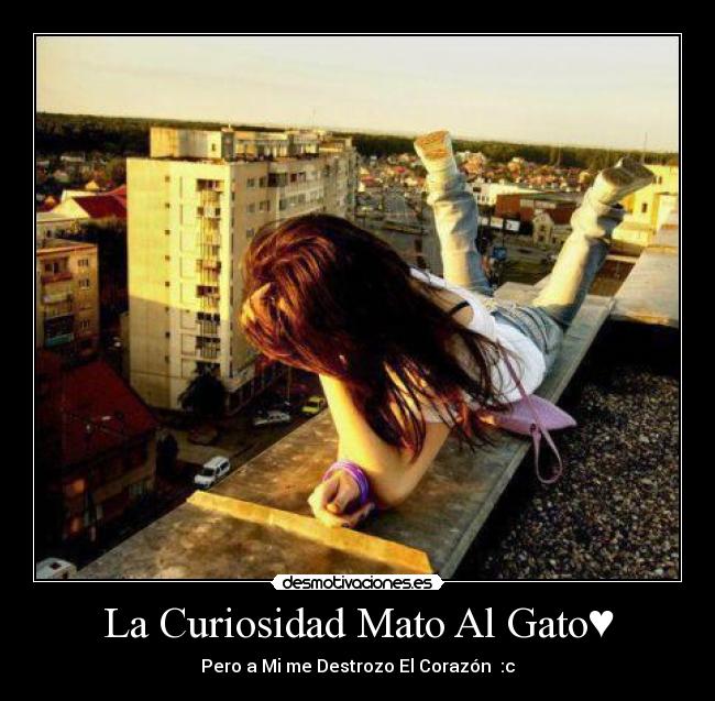 La Curiosidad Mato Al Gato♥ - Pero a Mi me Destrozo El Corazón♥ :c