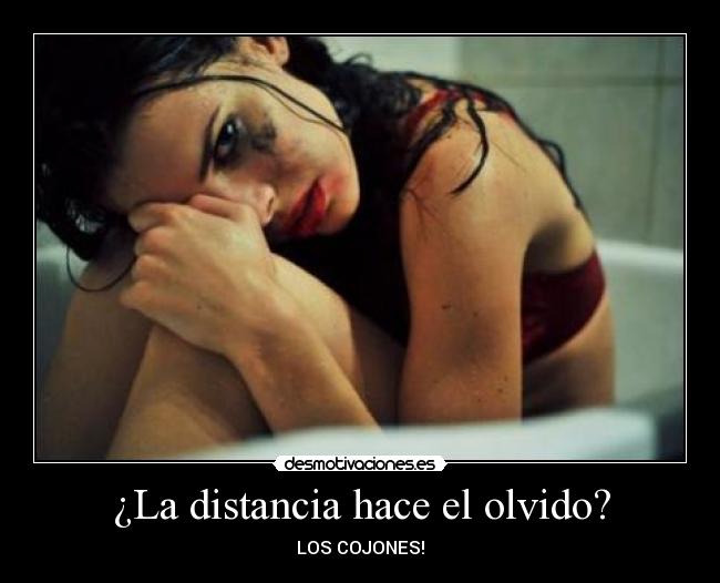 ¿La distancia hace el olvido? - 
