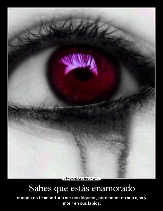 Sabes que estás enamorado - cuando no te importaría ser una lágrima , para nacer en sus ojos y
morir en sus labios.