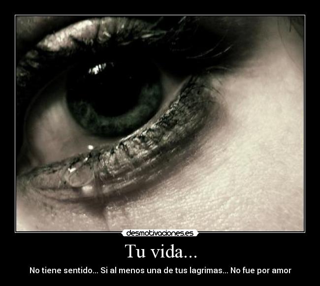 carteles vida cris desmotivaciones