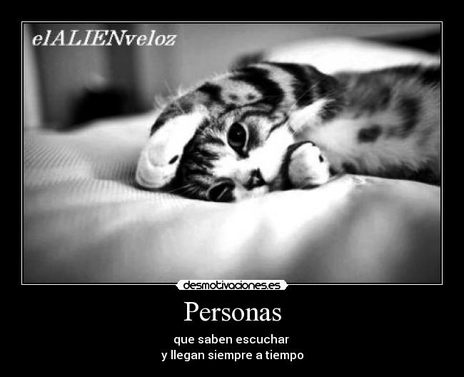 carteles cartel largo usuarios alien guisanta intruders puedes dormir desmotivaciones