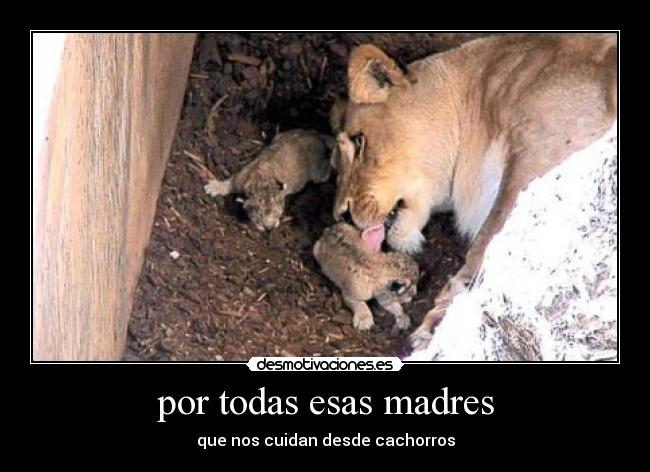 por todas esas madres -