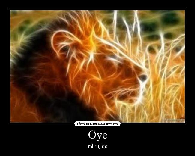 Oye -