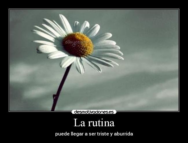 La rutina - puede llegar a ser triste y aburrida