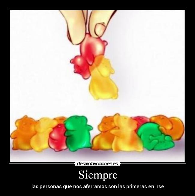 Siempre - 