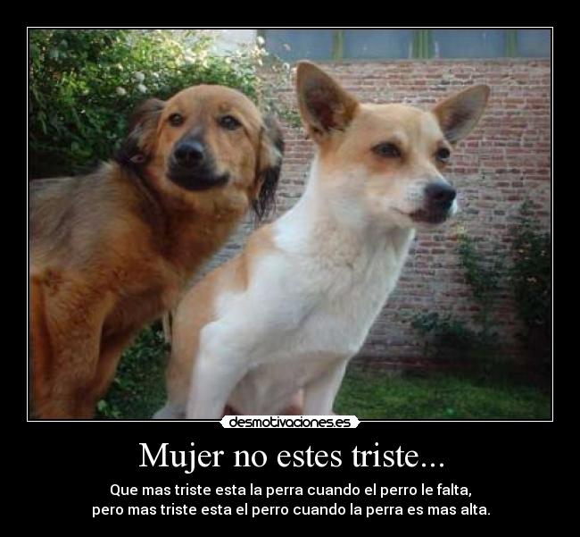 Mujer no estes triste... - Que mas triste esta la perra cuando el perro le falta,
pero mas triste esta el perro cuando la perra es mas alta.