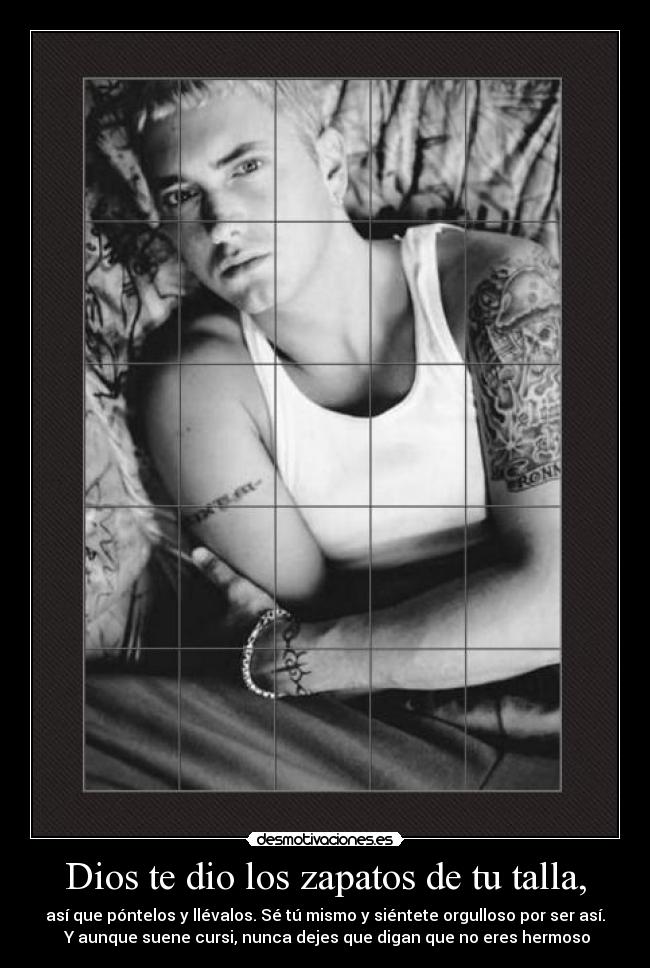 carteles dios rogertuba hipsalami notengoclan dinero para comprarle walt principales megacartel acabado wiiii desmotivaciones