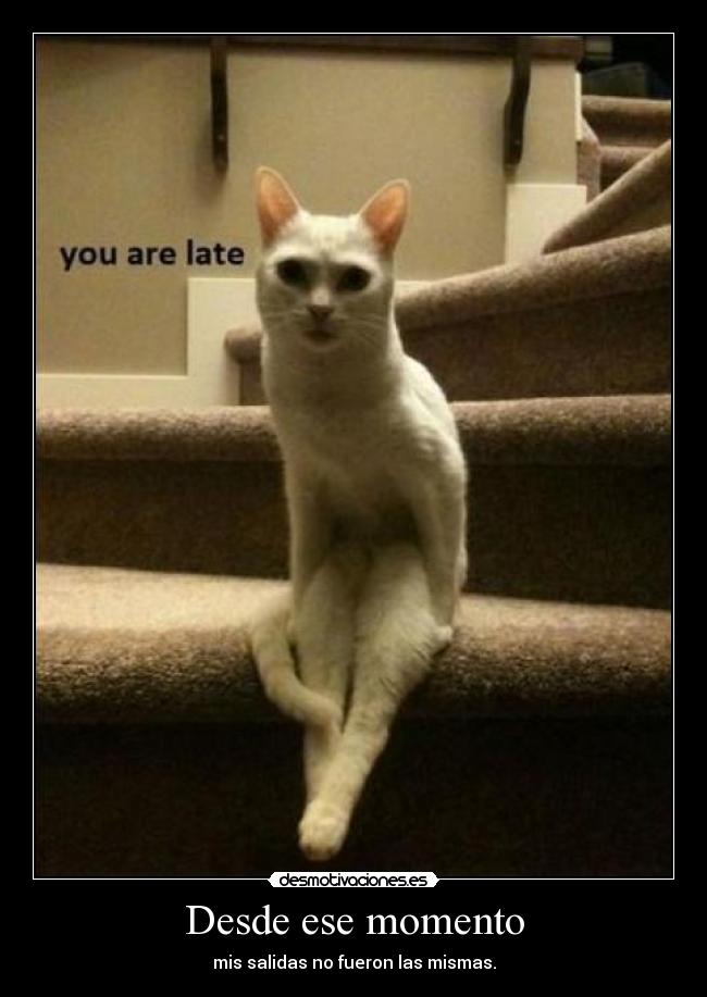 carteles you are late maldito gatosencajadooo myrniz desmotivaciones