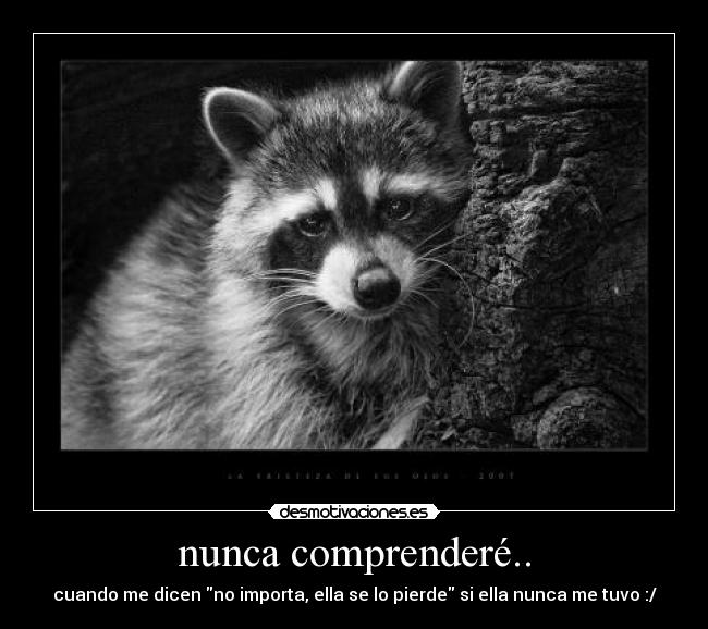 nunca comprenderé.. - cuando me dicen no importa, ella se lo pierde si ella nunca me tuvo :/