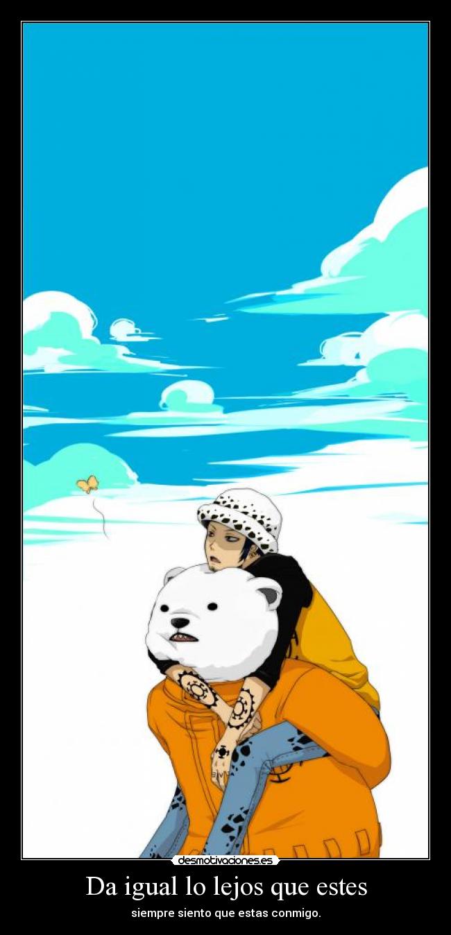 carteles bepo trafalgar law mariposa one piece desmotivaciones