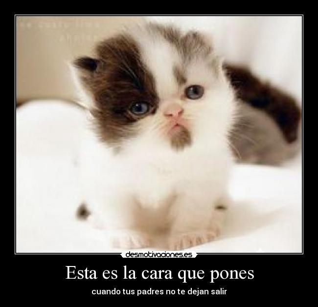 Esta es la cara que pones - cuando tus padres no te dejan salir