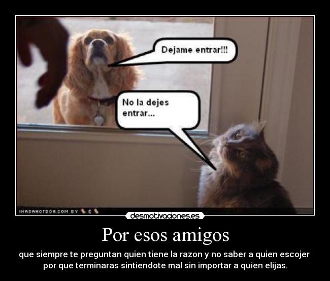 Por esos amigos - que siempre te preguntan quien tiene la razon y no saber a quien escojer
por que terminaras sintiendote mal sin importar a quien elijas.