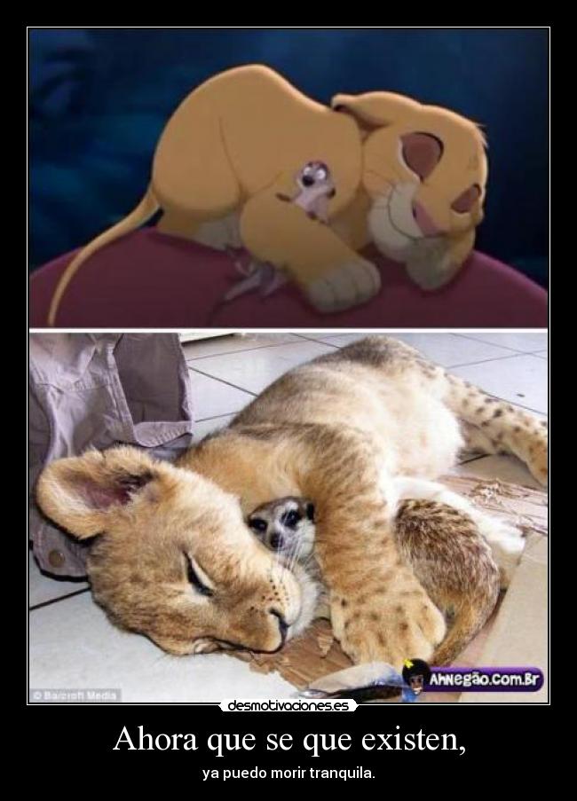 Ahora que se que existen, - ya puedo morir tranquila.