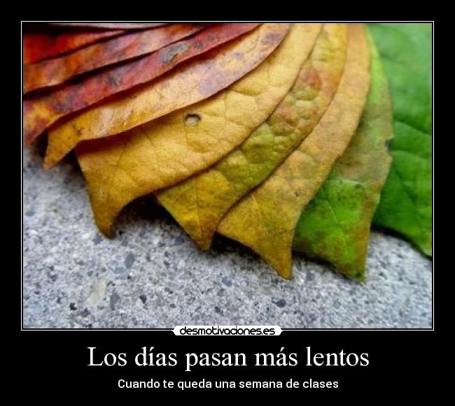 Los días pasan más lentos -