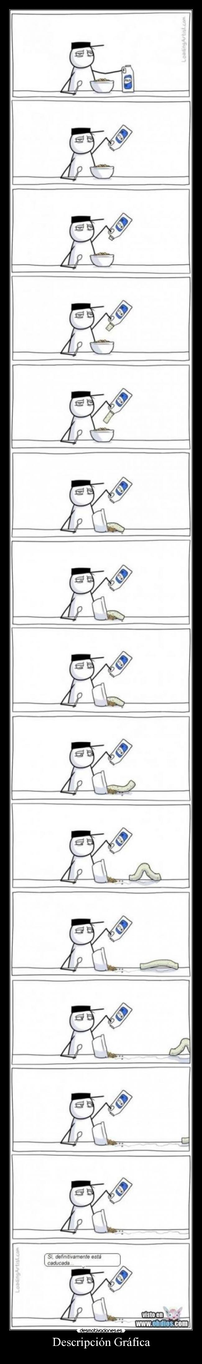 Descripción Gráfica -