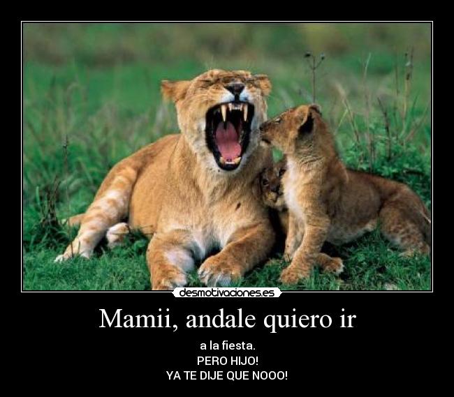 Mamii, andale quiero ir - a la fiesta.
PERO HIJO!
YA TE DIJE QUE NOOO!