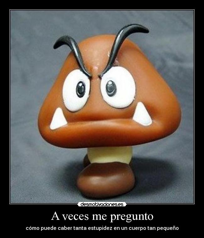 A veces me pregunto - cómo puede caber tanta estupidez en un cuerpo tan pequeño