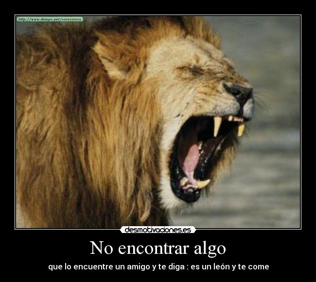 No encontrar algo -