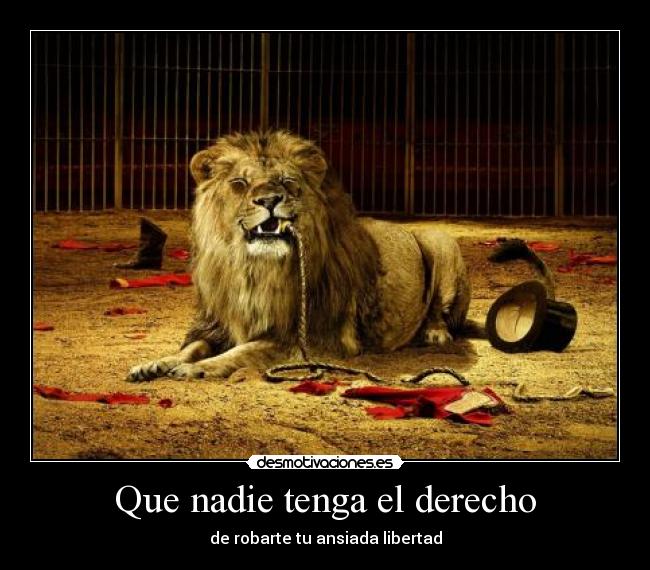 Que nadie tenga el derecho - de robarte tu ansiada libertad
