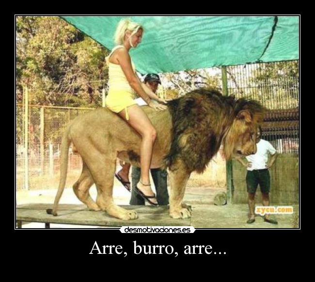 Arre, burro, arre... - 